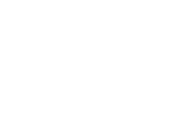 Fast Shipping